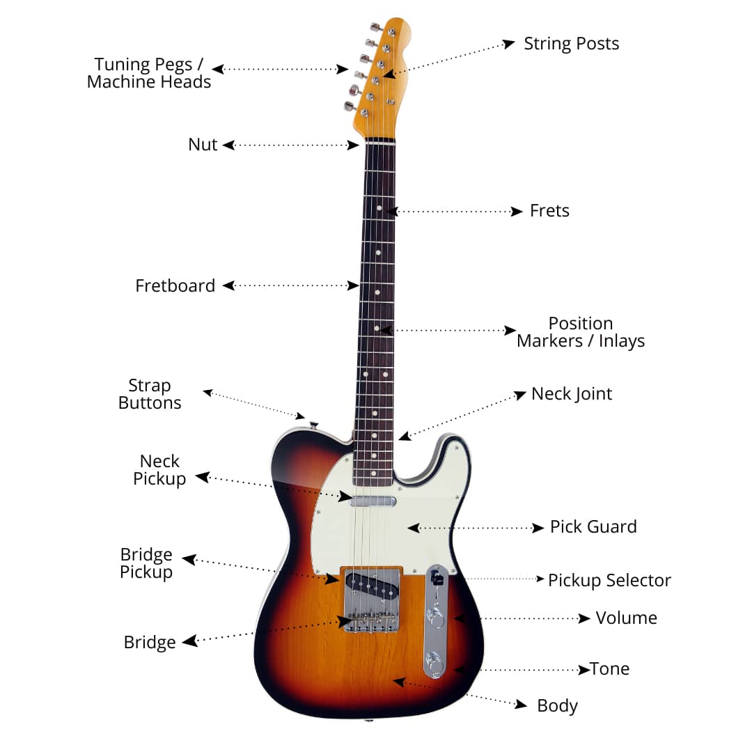 Parts of an electric guitar diagram Adrian Curran Guitars